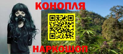 стафф Можга
