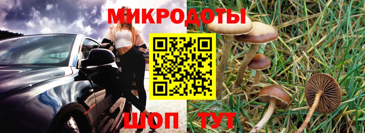 Псилоцибиновые грибы ЛСД  Вход с VPN  Солнечногорск 